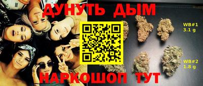 стафф Новокубанск