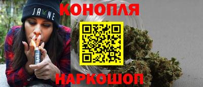 стафф Новокубанск