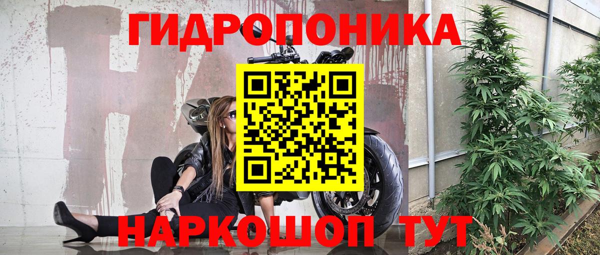 Каннабис ГИДРОПОН Тулун